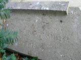 image of grave number 157921
